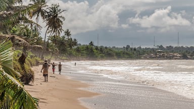 Una playa con palmeras y cielo nublado.