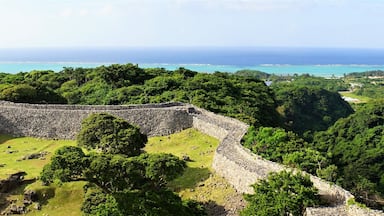 A stone fortification surrounded by lush greenery and a coastal view.