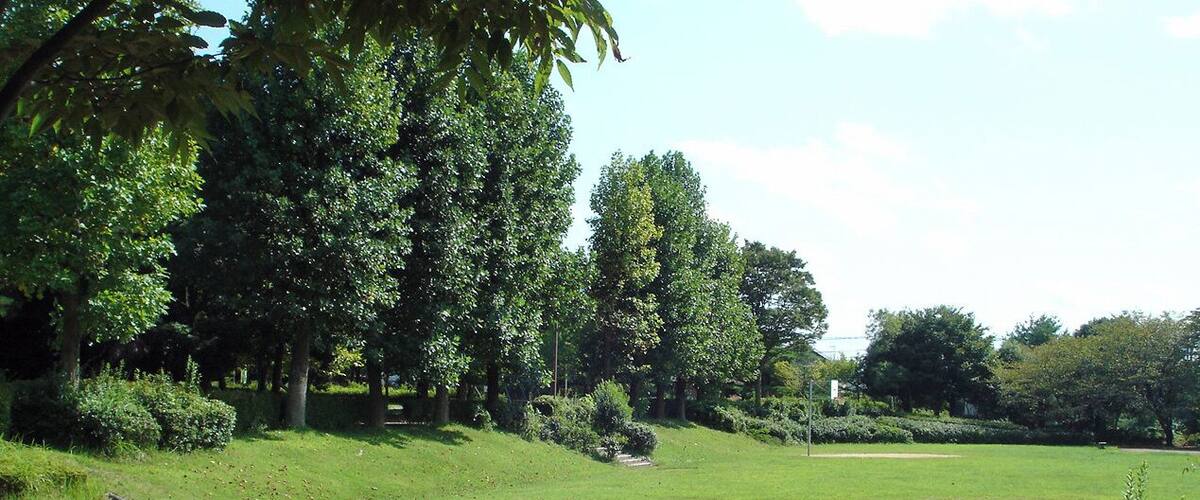 A grassy field with trees and a paved path.