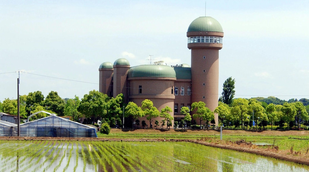 Abiko city Museum of Birds