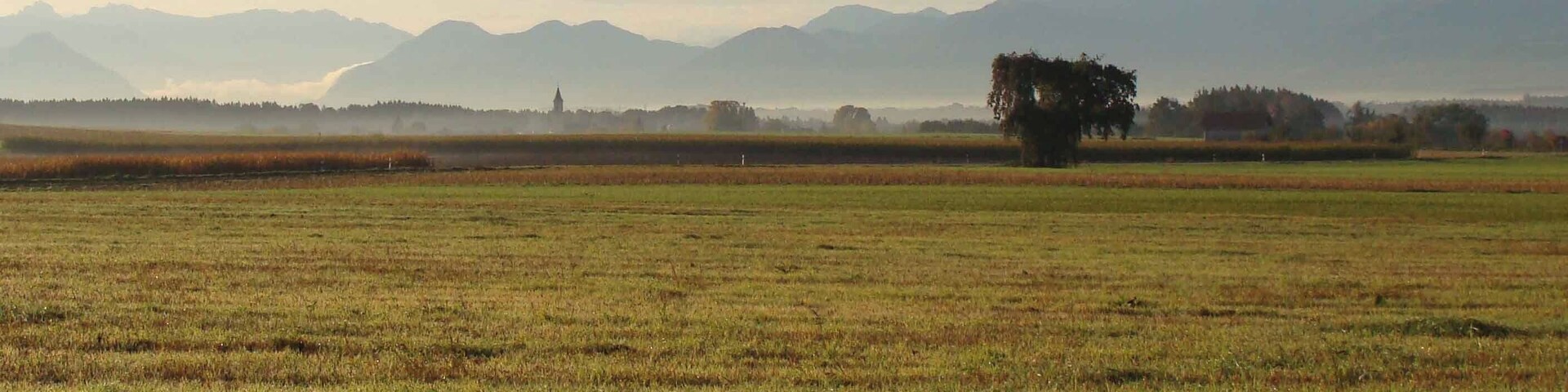 Blick von Hohenthann auf Alpen