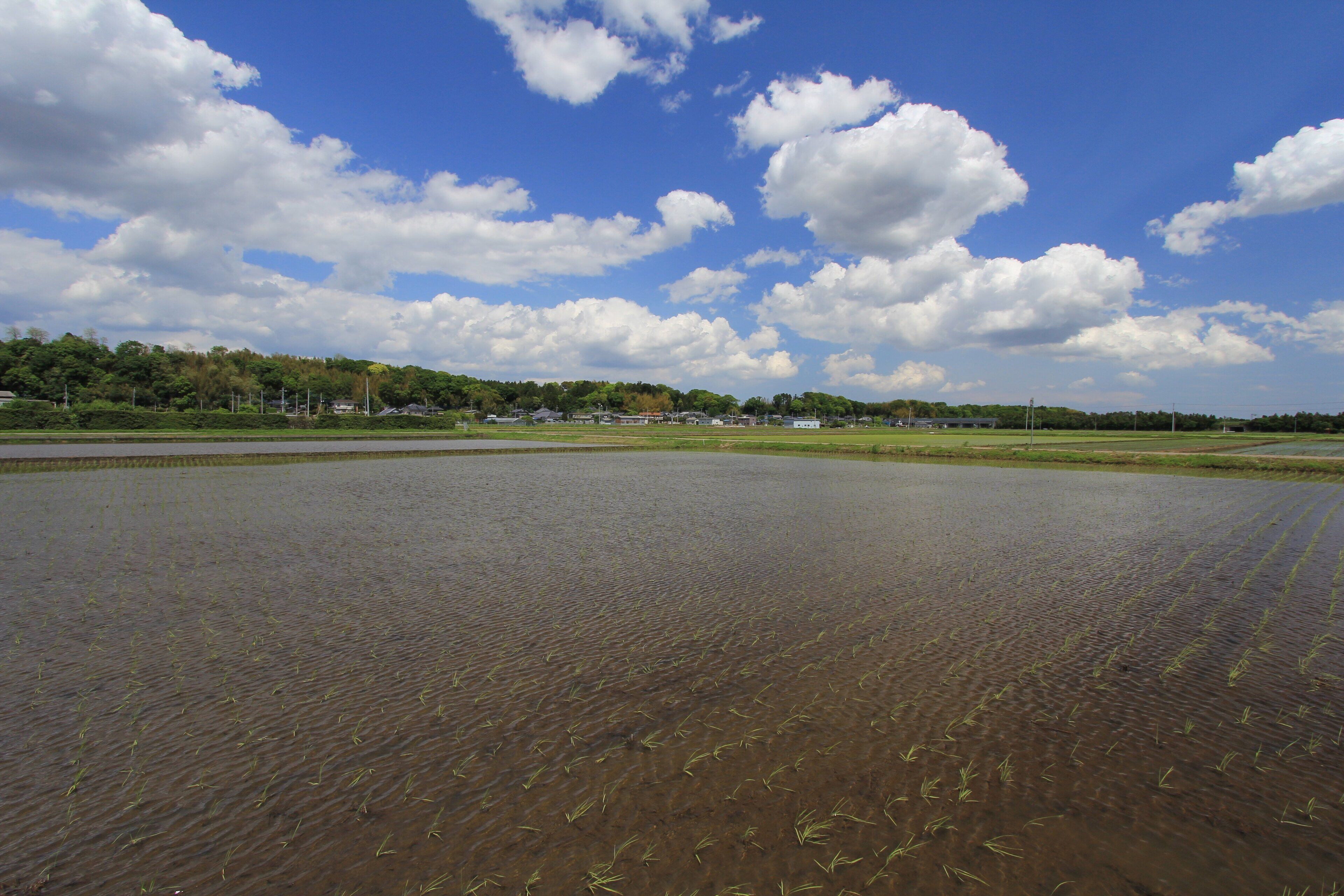 土浦市下坂田付近の風景