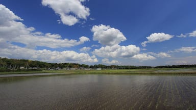 ćæ”Šćžäžćç°ä»èżăźéąšæŻ