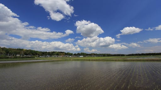 土浦市下坂田付近の風景