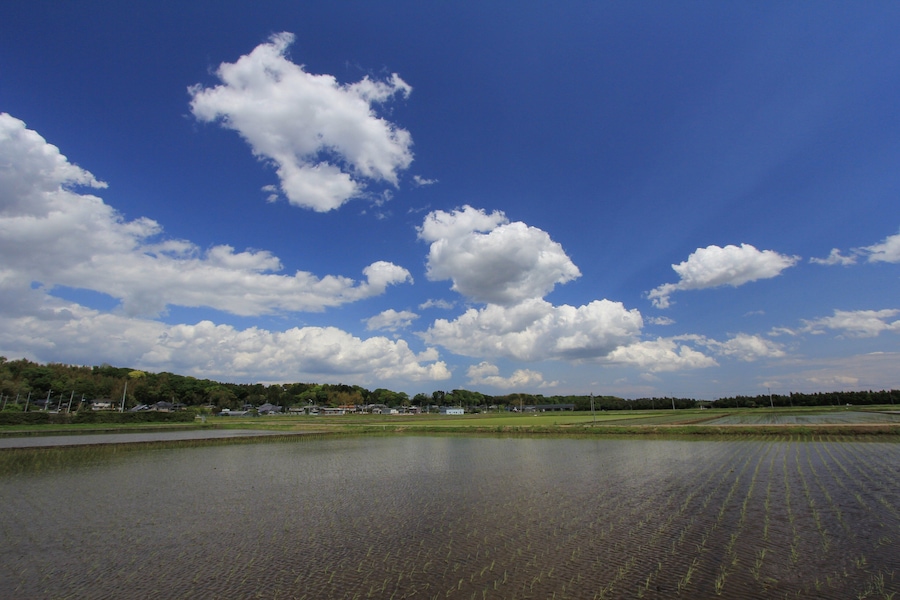 土浦市下坂田付近の風景