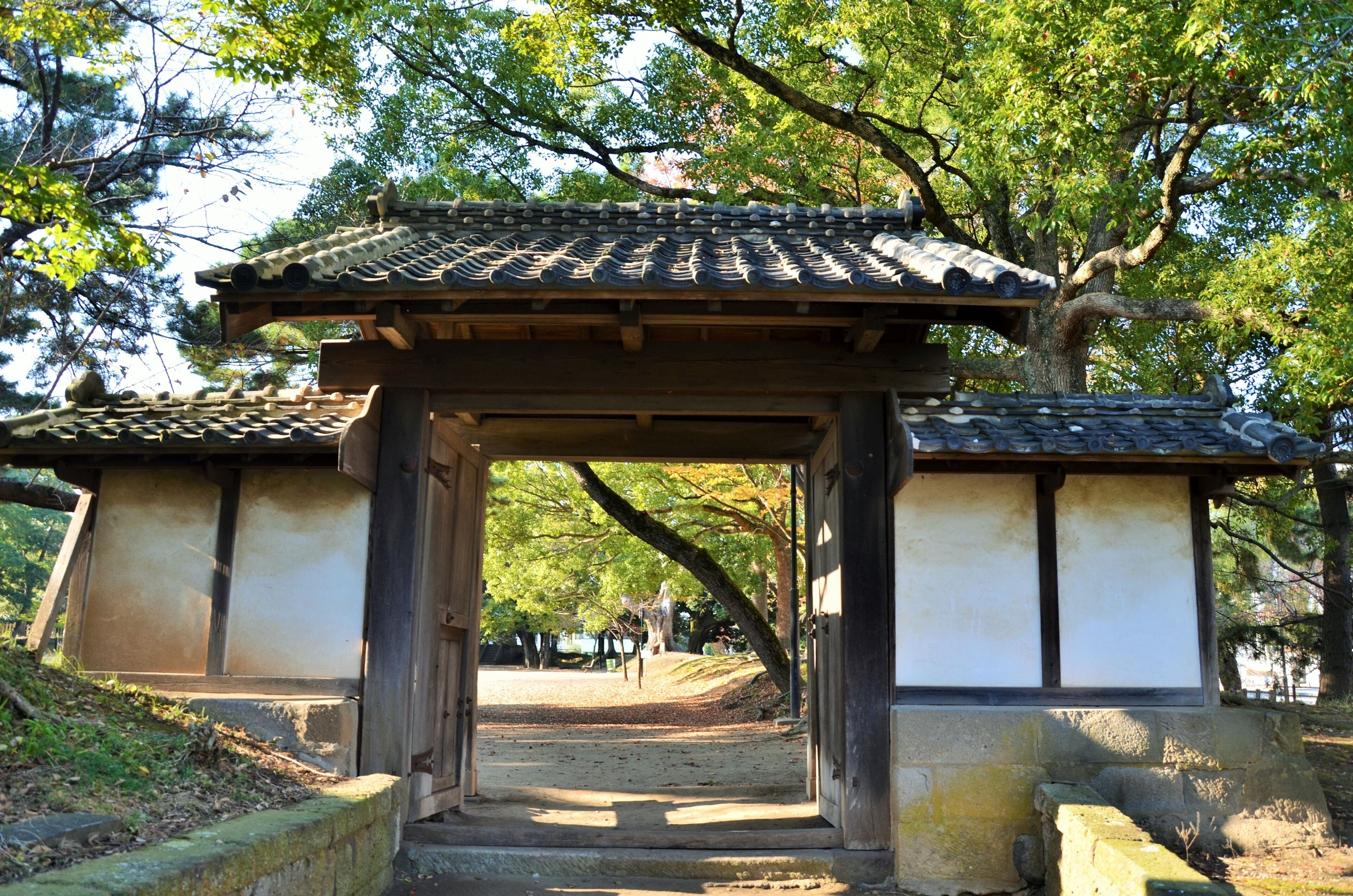 A traditional Japanese torii gate leading into a forested area with a clear path.
