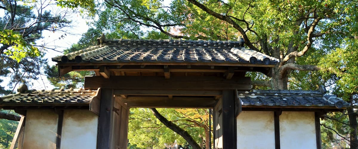 A traditional Japanese torii gate leading into a forested area with a clear path.