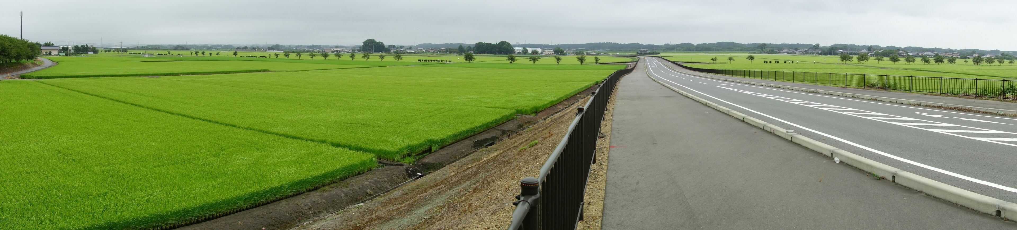 リンリンロード