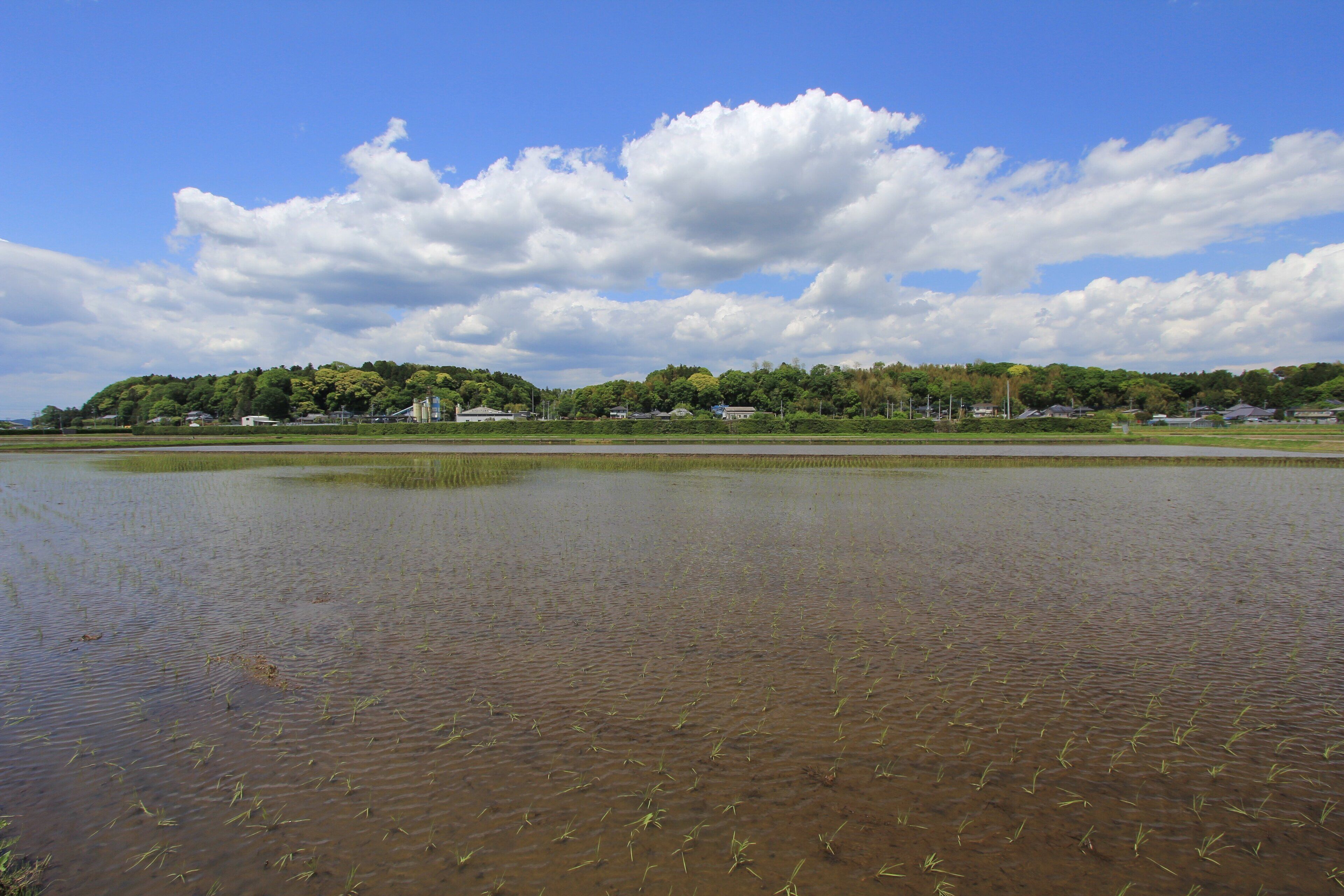 土浦市下坂田付近の風景