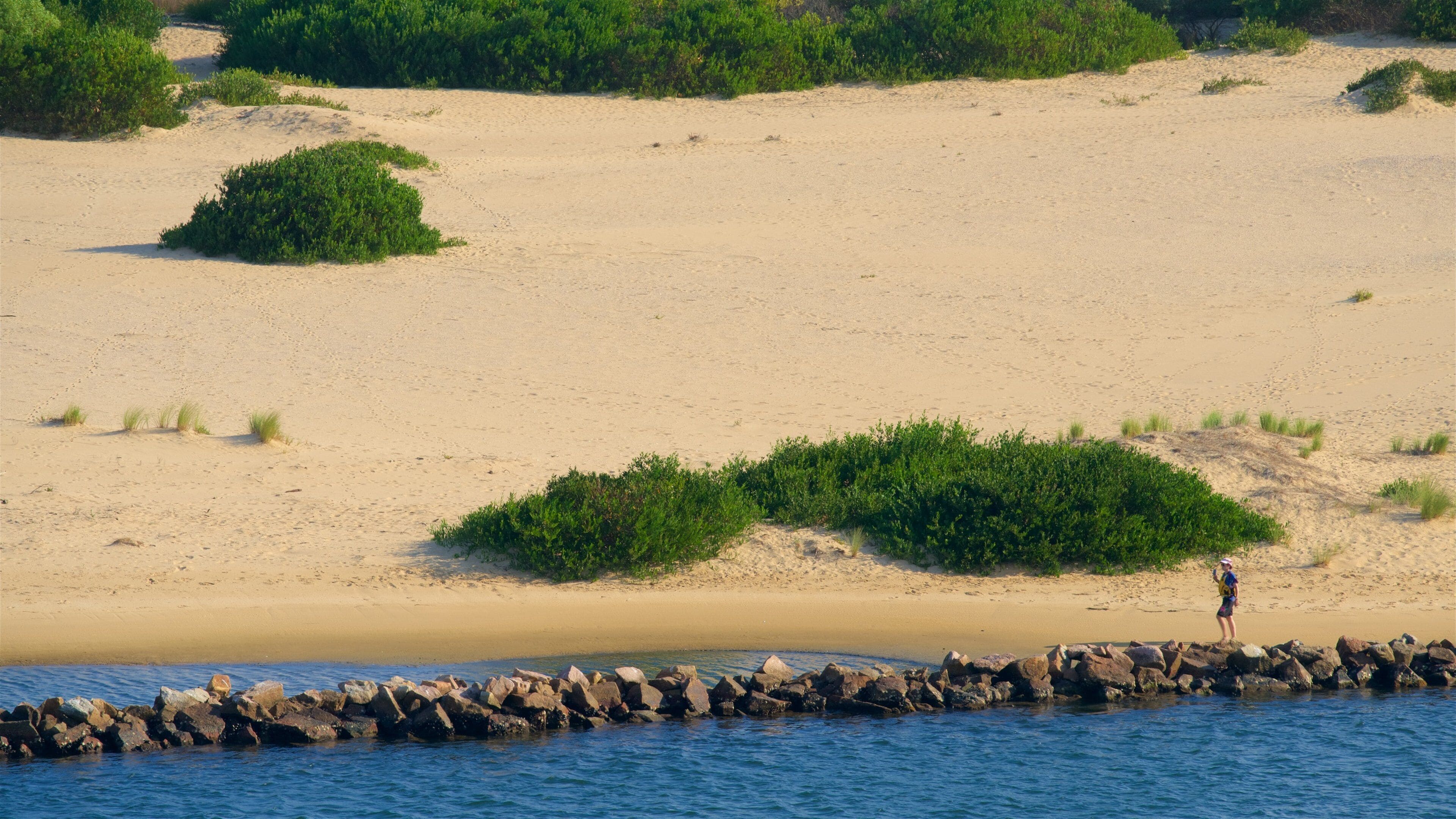 Lakes Entrance Lookout som inkluderar en strand och en hamn eller havsbukt