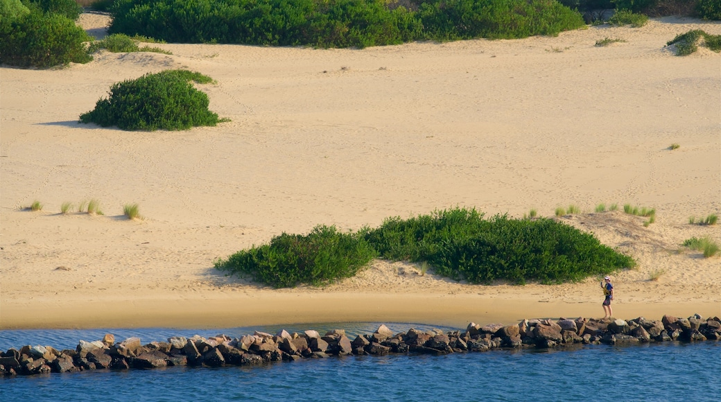 Lakes Entrance utsiktspunkt som inkluderer sandstrand og bukt eller havn