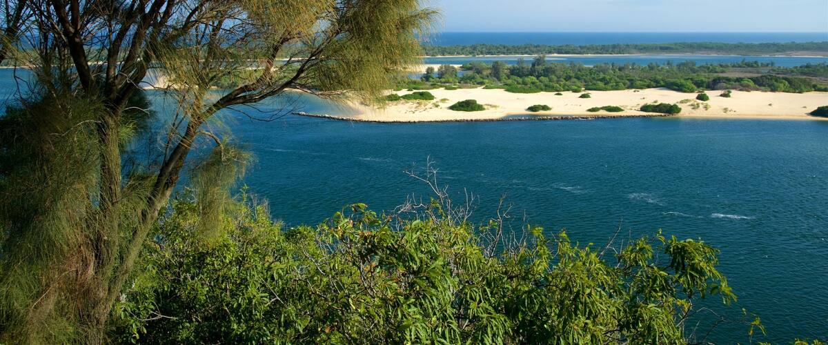 A coastal landscape with a sandy beach, dense greenery, and a clear blue sea.