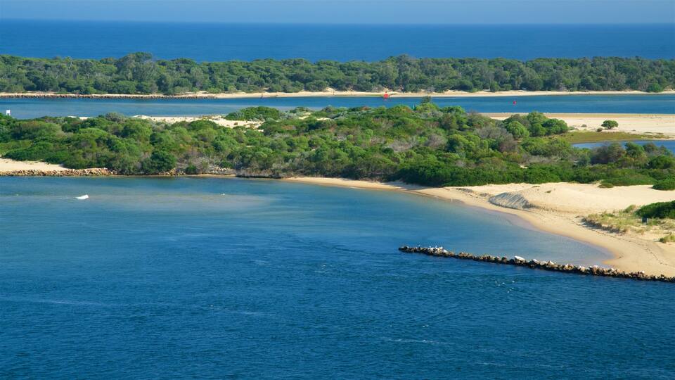 A coastal landscape with a sandy beach, dense green vegetation, and a clear blue sea.