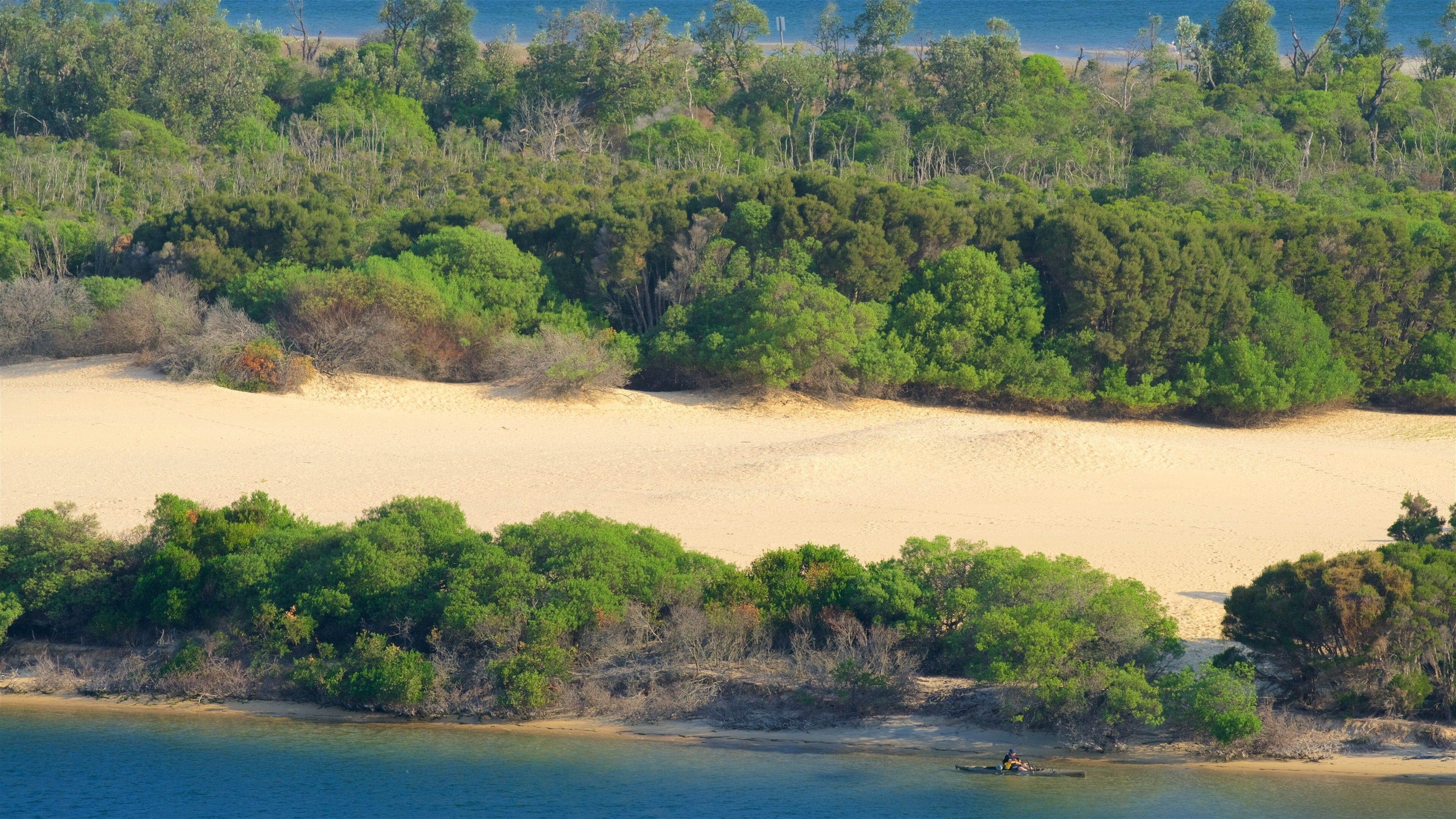 Lakes Entrance Lookout which includes a bay or harbour and a sandy beach