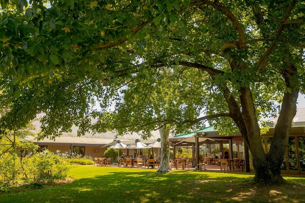 Brown Brothers Milawa Vineyard showing a park
