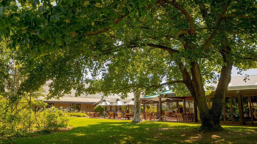 Brown Brothers Milawa Vineyard showing a park