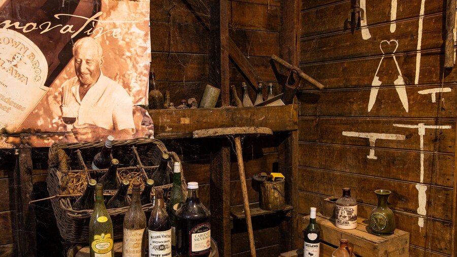 Brown Brothers Milawa Vineyard