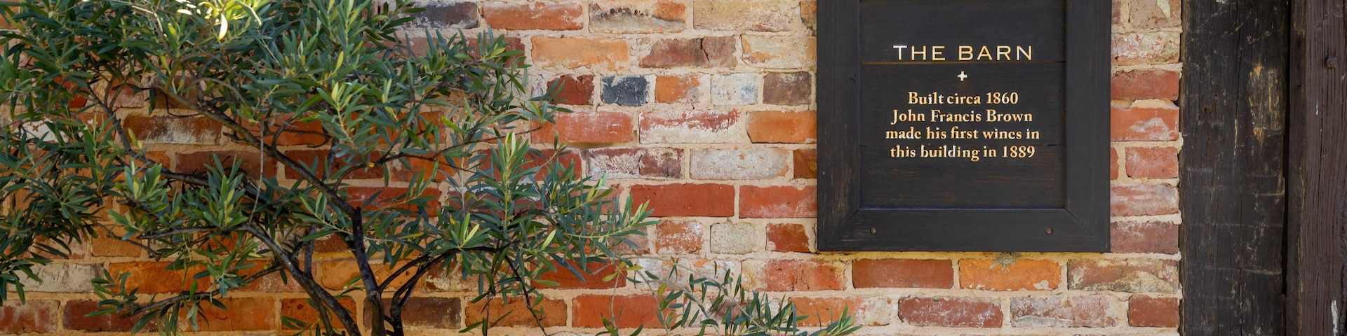 Brown Brothers Milawa Vineyard