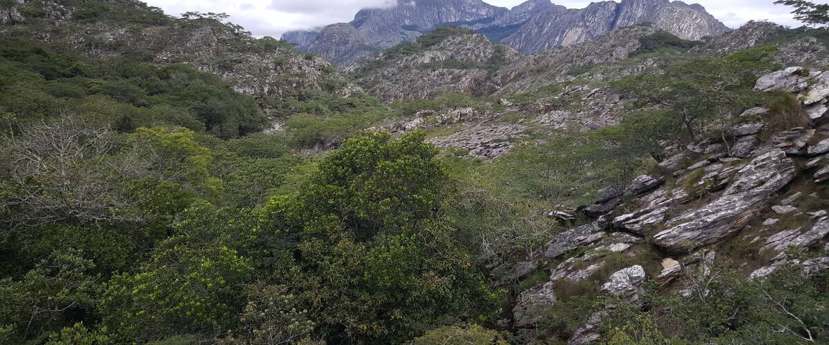 A mountainous landscape with dense green foliage and rocky terrain.