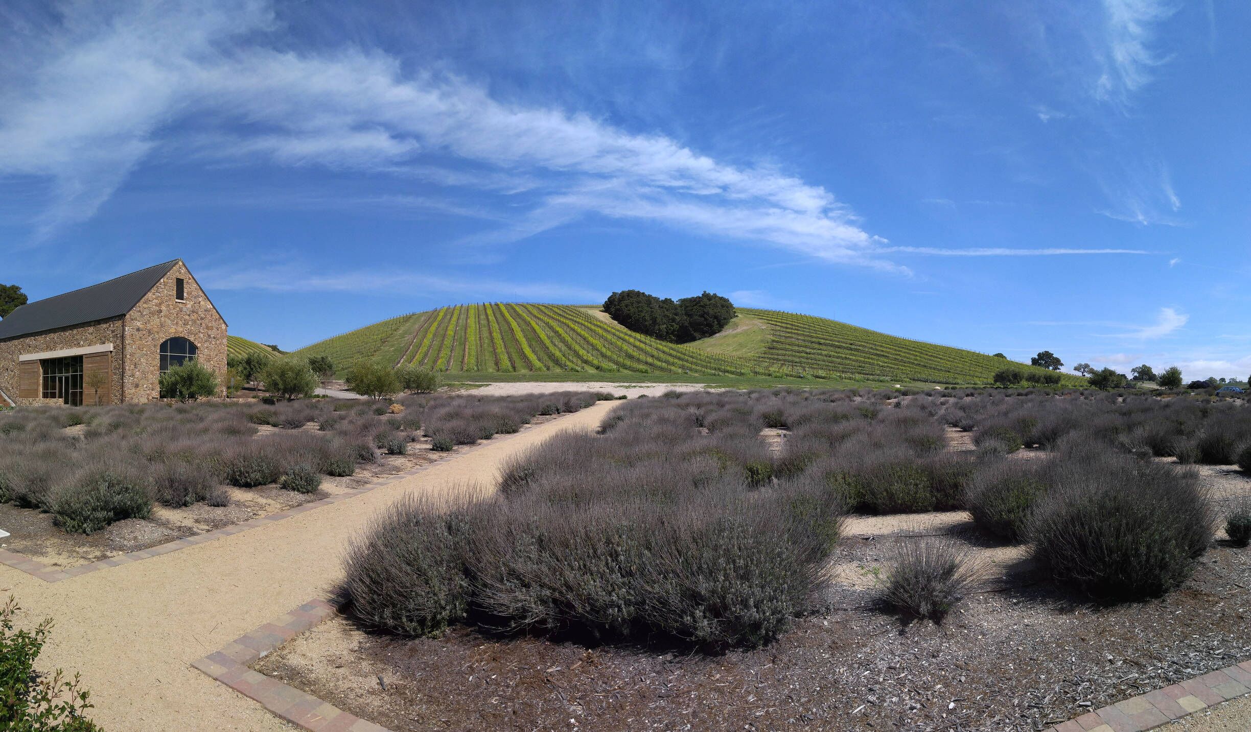 Great wine and restaurant #blue