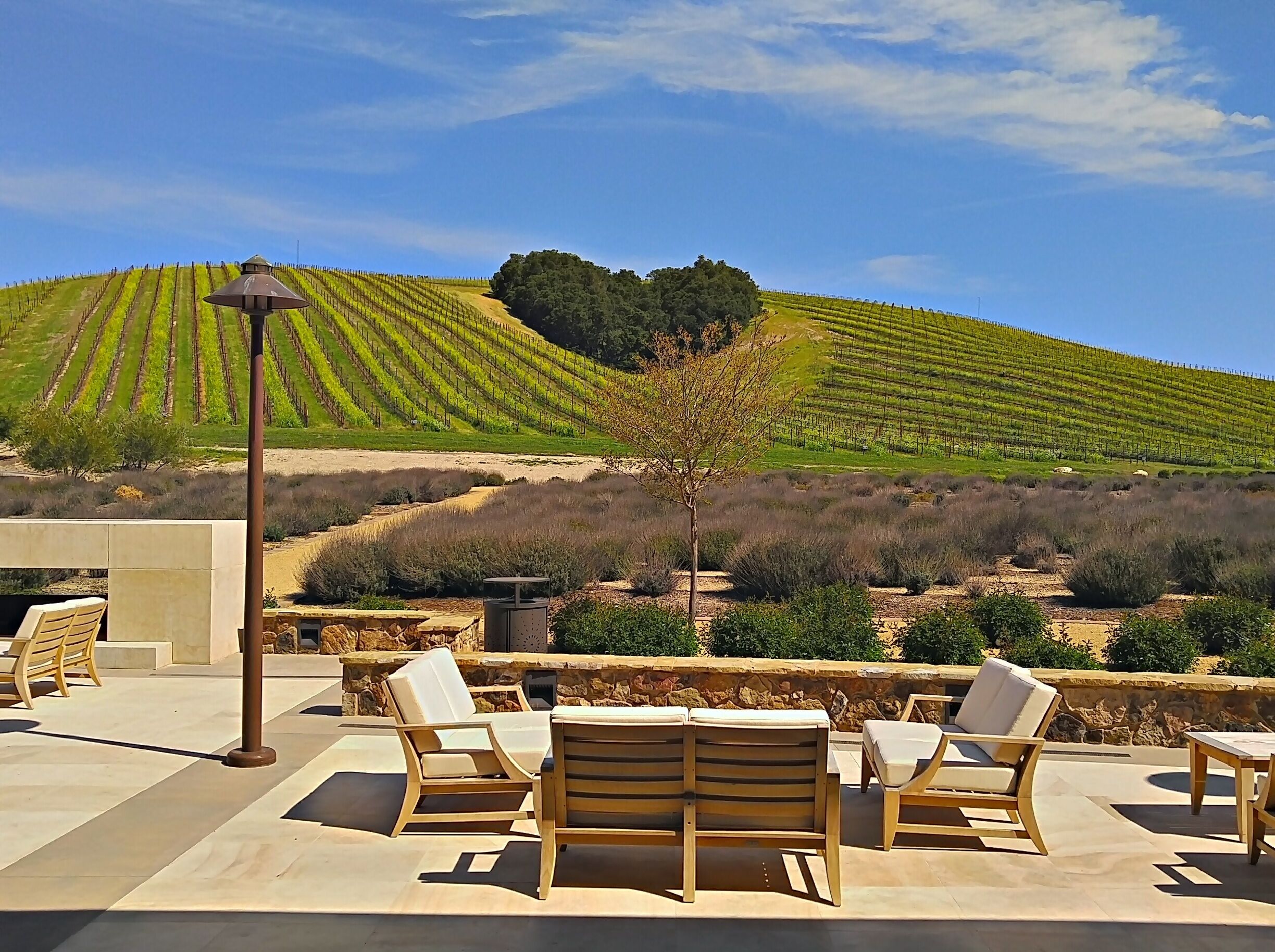 Niner Wine Estates 