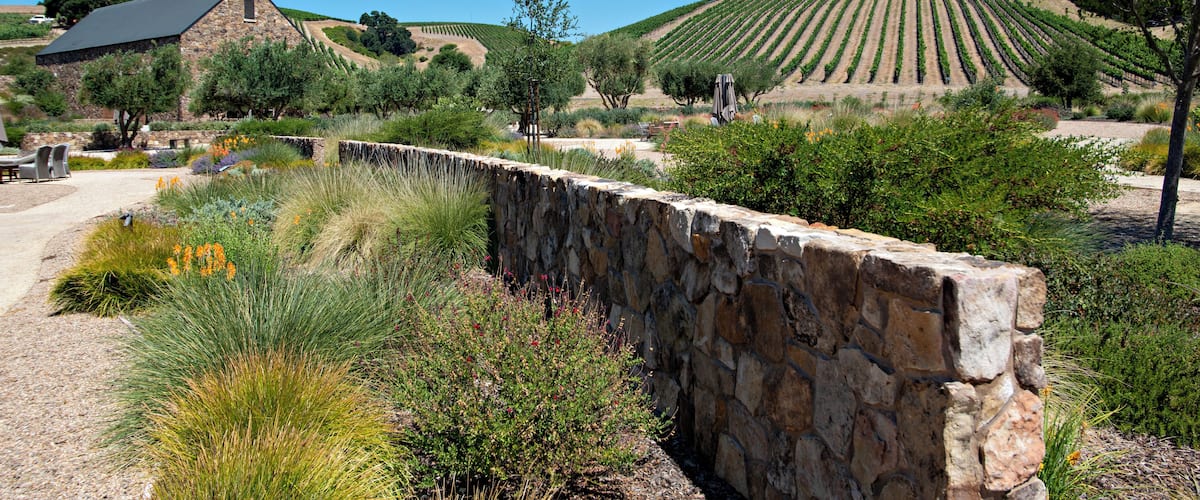 PasoRobles_NinerWineEstates_6206271-5