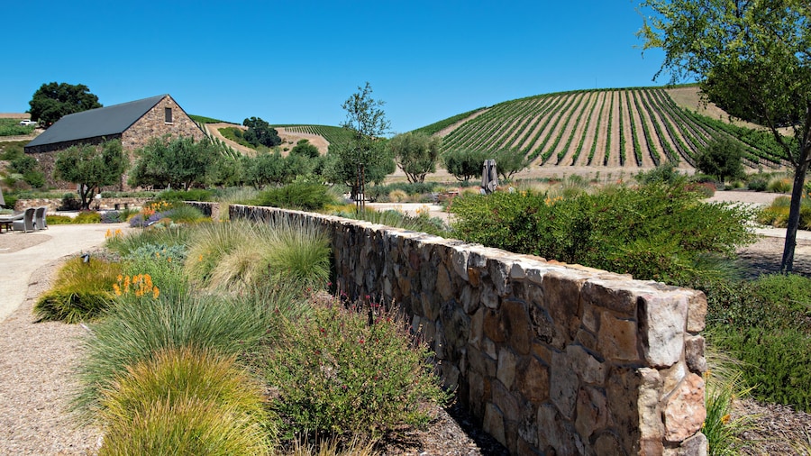 Entreprise vinicole Niner