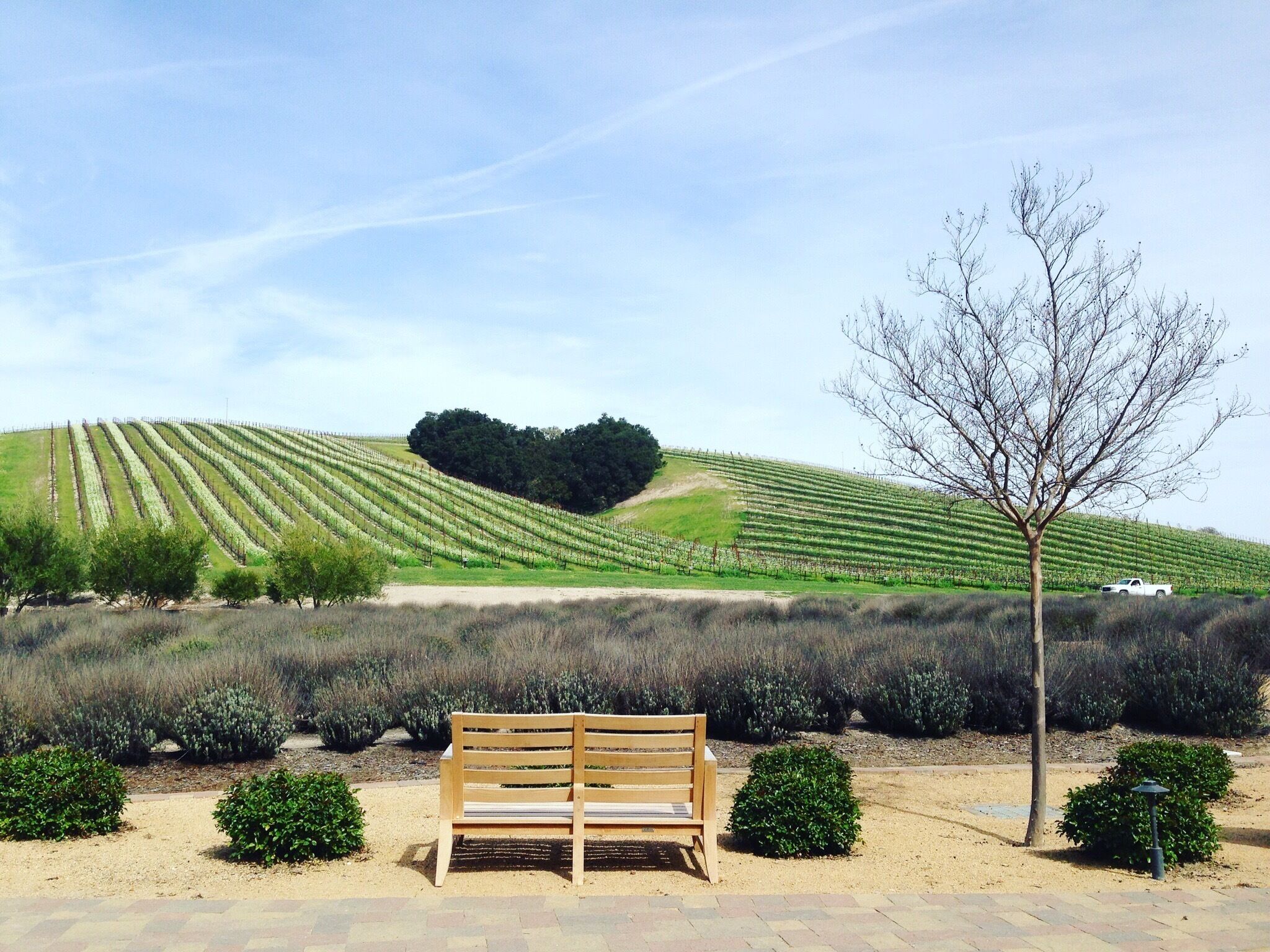 Combining a winetasting experience with a great lunch in a superb setting. I think this is a great place for Valentine's Day and I think by looking at the picture you'll see why