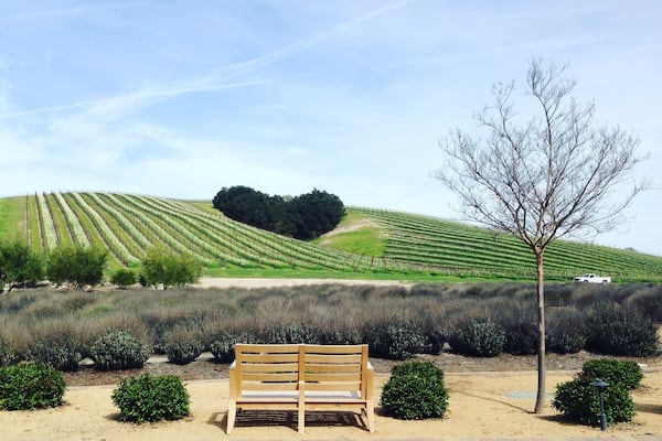 Combining a winetasting experience with a great lunch in a superb setting. I think this is a great place for Valentine's Day and I think by looking at the picture you'll see why