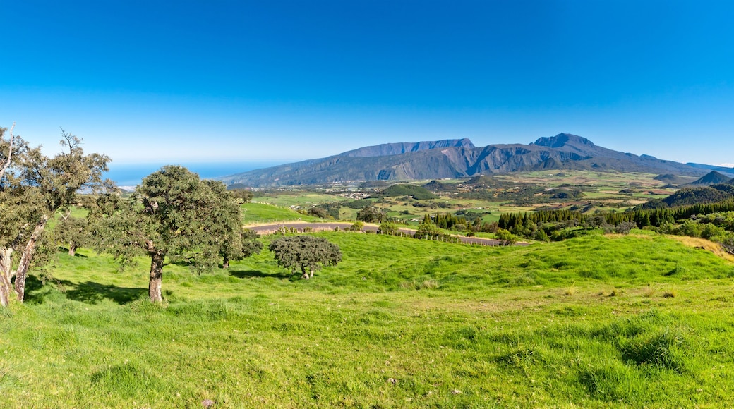 La Plaine des Cafres