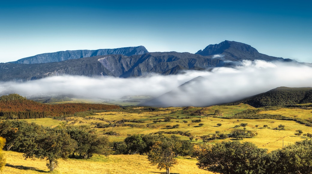 La Plaine des Cafres