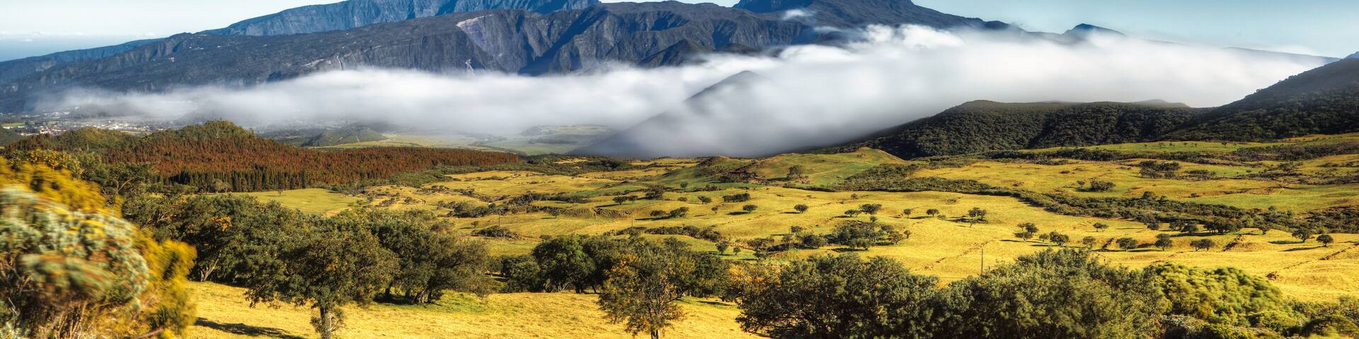Vue sur le Piton des Neiges depuis la plaine des Cafres, La Réunion.