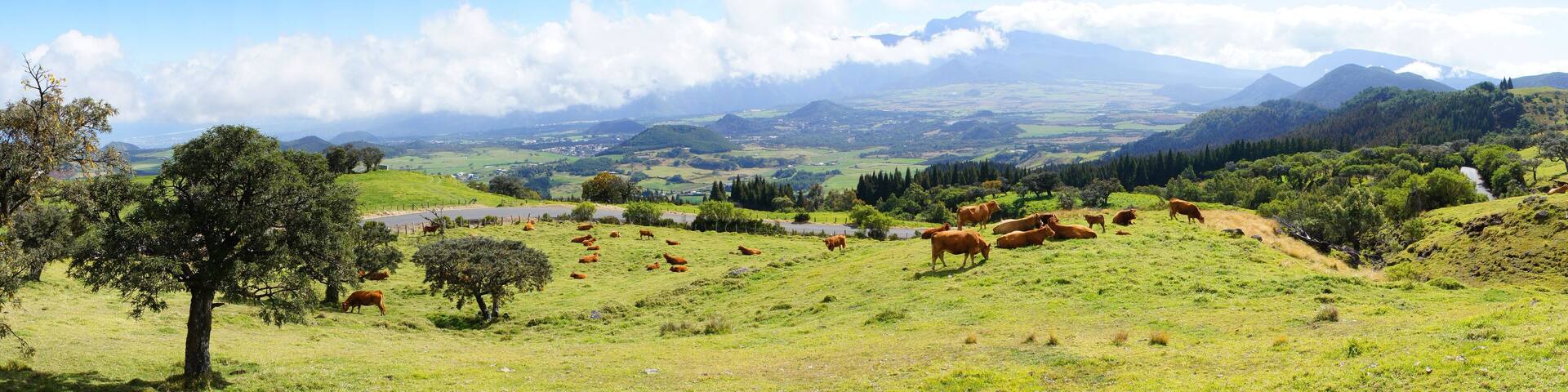 Campagne de la Plaine des Cafres.