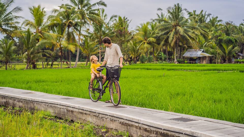 Father and son ride a bicycle on a rice field in Ubud, Bali. Travel to Bali with kids concept