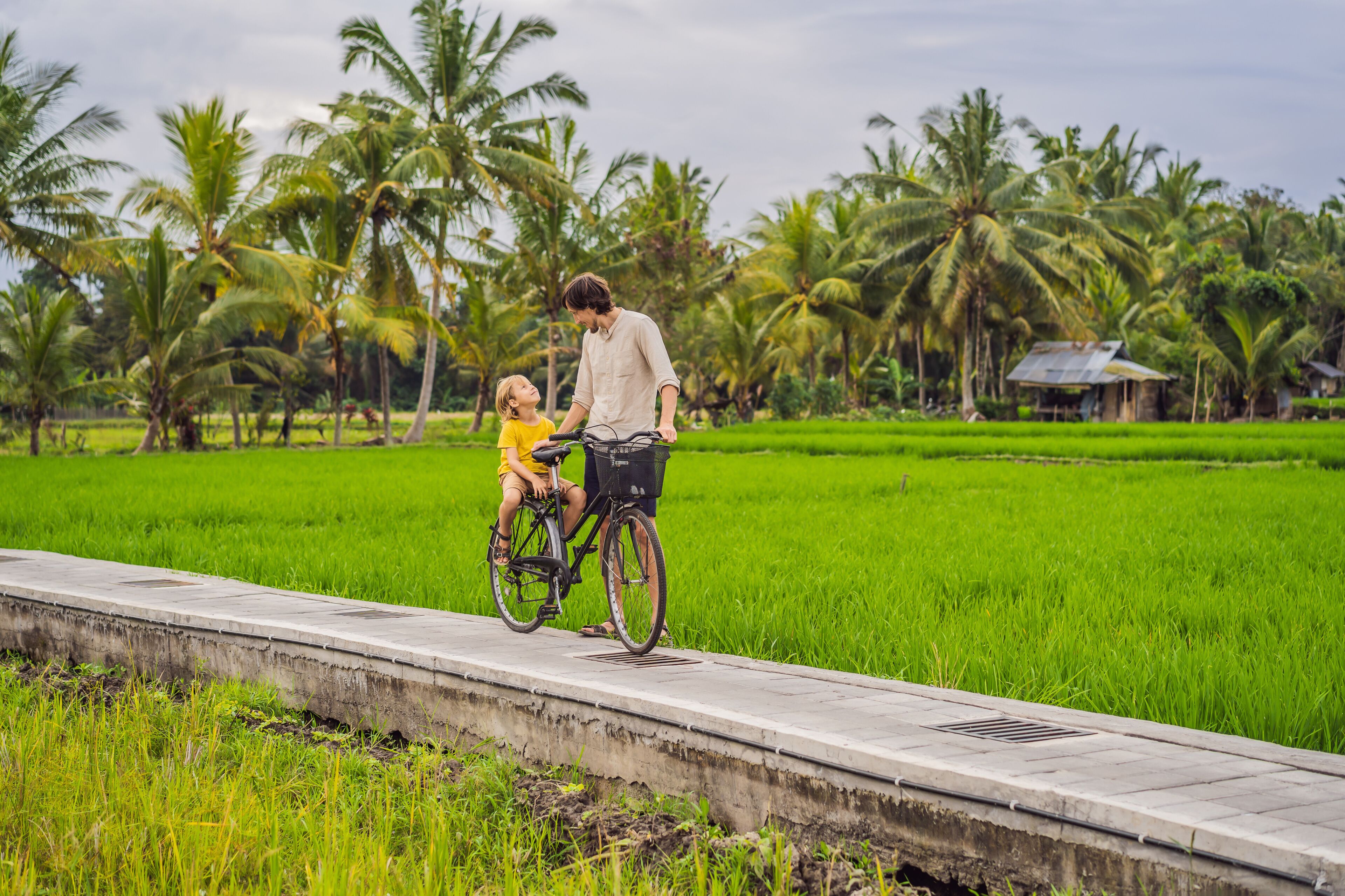 A rural landscape with a concrete path, lush green fields, and palm trees.