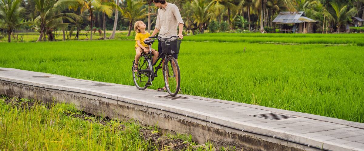 A rural landscape with a concrete path, lush green fields, and palm trees.