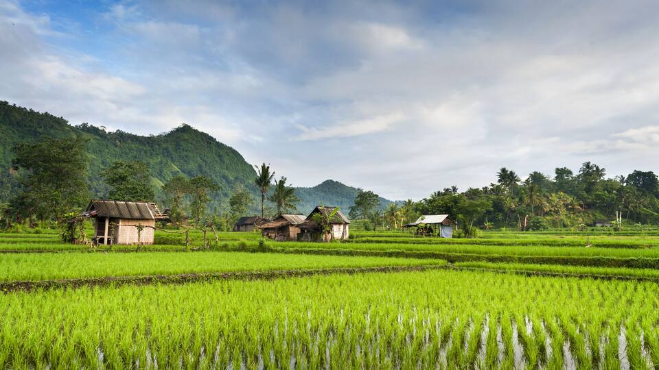 Bali Rice Fields. The village of Sidemen, in east Bali, boasts some of the most beautiful and dramatic rice terraces in Indonesia. ; Shutterstock ID 201562730; Purchase Order: SP-2026; Order Number: SP-2026 Go Guide images research for Bali (Indonesia); Client/Licensee: Hotels.com; Other: Lee Ban Twan