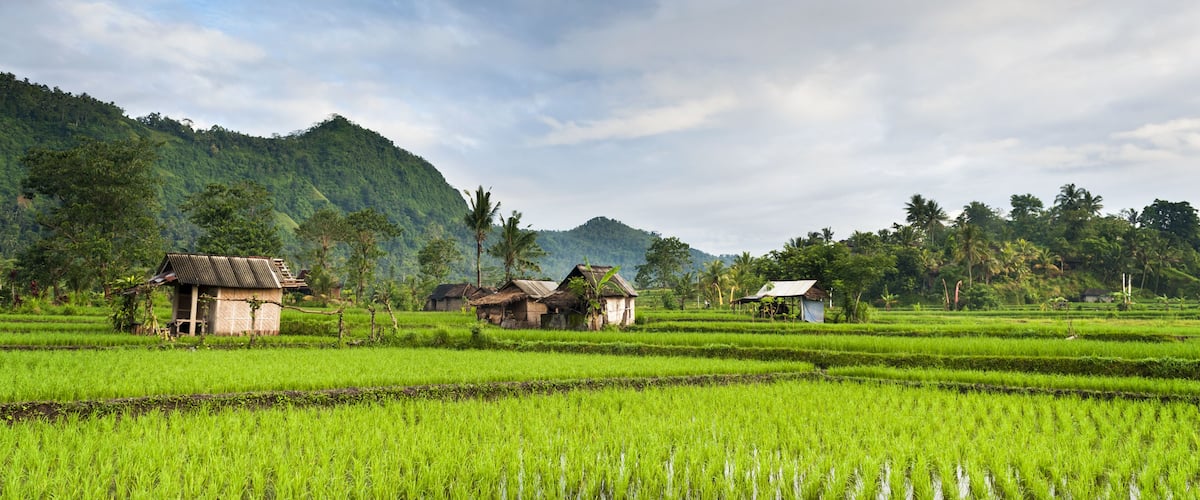 Bali Rice Fields. The village of Sidemen, in east Bali, boasts some of the most beautiful and dramatic rice terraces in Indonesia. ; Shutterstock ID 201562730; Purchase Order: SP-2026; Order Number: SP-2026 Go Guide images research for Bali (Indonesia); Client/Licensee: Hotels.com; Other: Lee Ban Twan