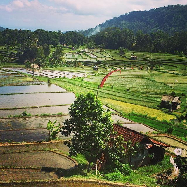 Located in the west part of the island of Bali, Indonesia, Sidemen offers breathtaking views of its rice fields.  A different side of Bali.