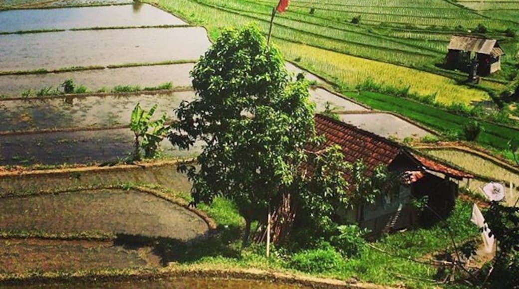 Located in the west part of the island of Bali, Indonesia, Sidemen offers breathtaking views of its rice fields. A different side of Bali.