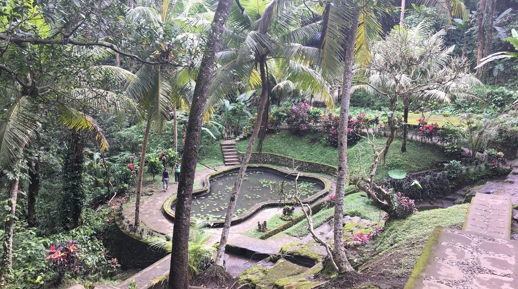 Goa gajah garden
