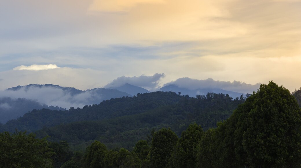 the mountains of BANJARAN TITIWANGSA surrounded by white clouds near the sunset