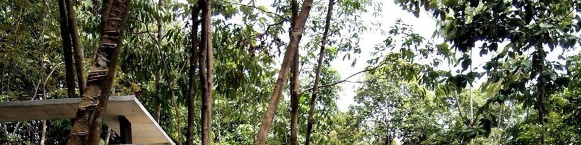 SEKEPING SERENDAH - swimming Pool situated along the slope of the hills, been our hang out place during our weekend retreat