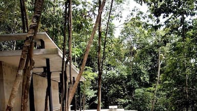 Piscina retangular com água cristalina, rodeada por árvores e uma estrutura de concreto.