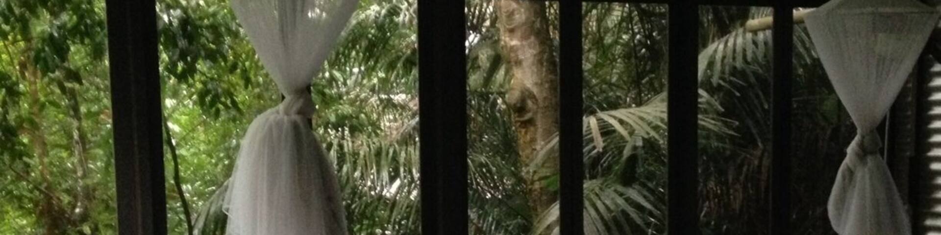 A room with two beds, white linens, and a view of lush green trees through large windows.