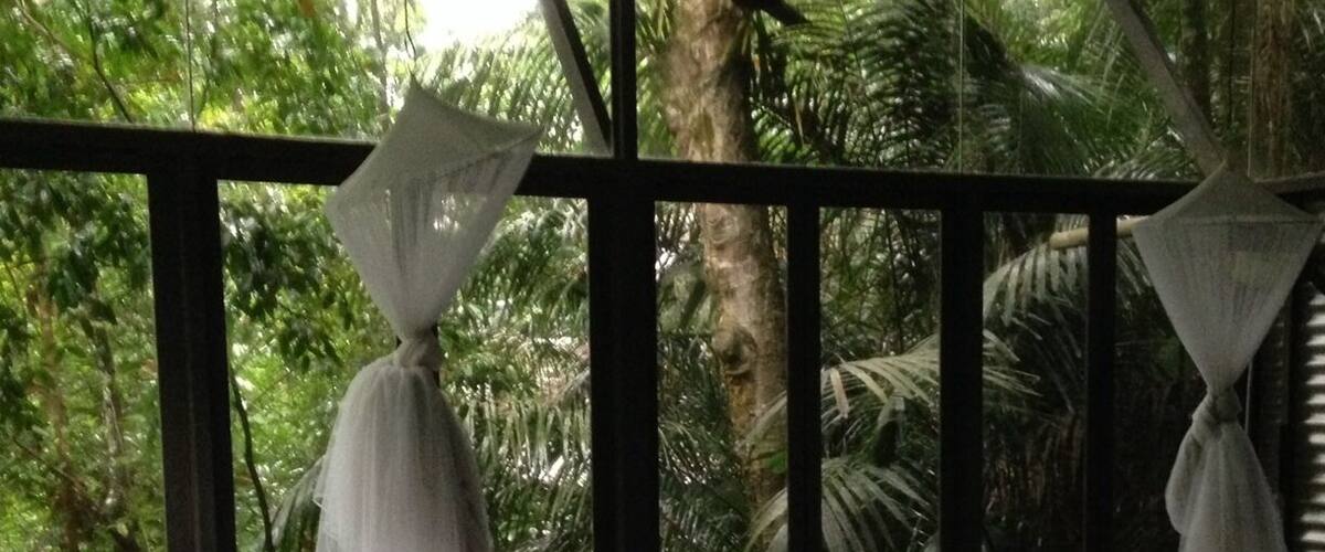 A room with two beds, white linens, and a view of lush green trees through large windows.