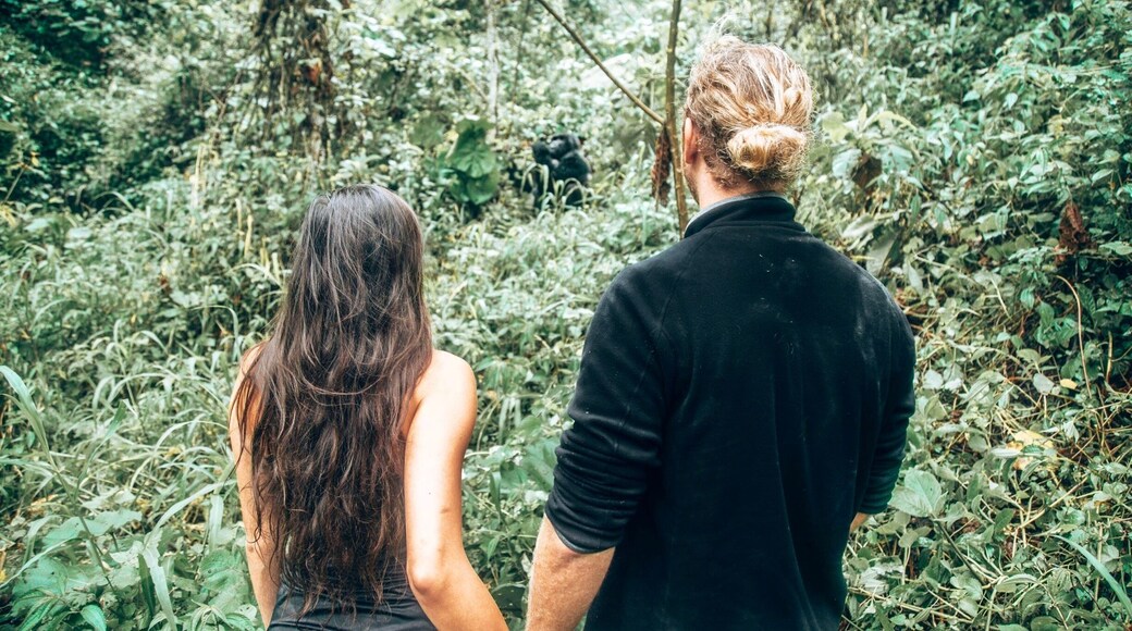 Face-to-face with a gorilla in the WILD!!! 🦍❤️
↠Travel Tip: Trek the beautiful Bwindi forest & visit one of the 17 protected mountain gorilla families. There’s no better way to witness these animals than in their natural habitat deep in the Ugandan forest 🇺🇬