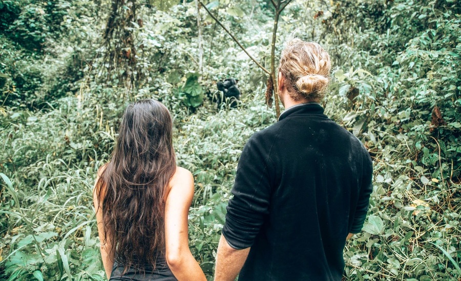 Face-to-face with a gorilla in the WILD!!! 🦍❤️
↠Travel Tip: Trek the beautiful Bwindi forest & visit one of the 17 protected mountain gorilla families. There’s no better way to witness these animals than in their natural habitat deep in the Ugandan forest 🇺🇬
