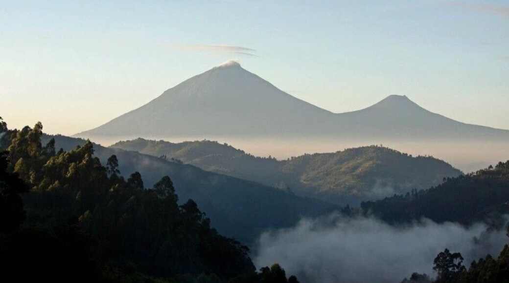 A view from Kisoro, Uganda where we stayed
#Africa
#gorillareck
#Mountains