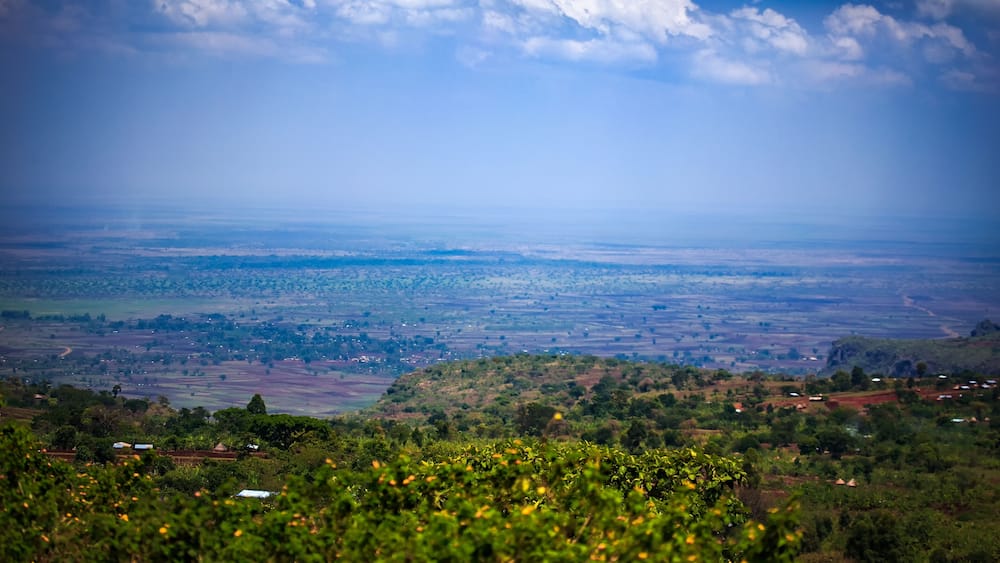 A vast landscape with rolling hills, scattered trees, and a distant view of a small town.